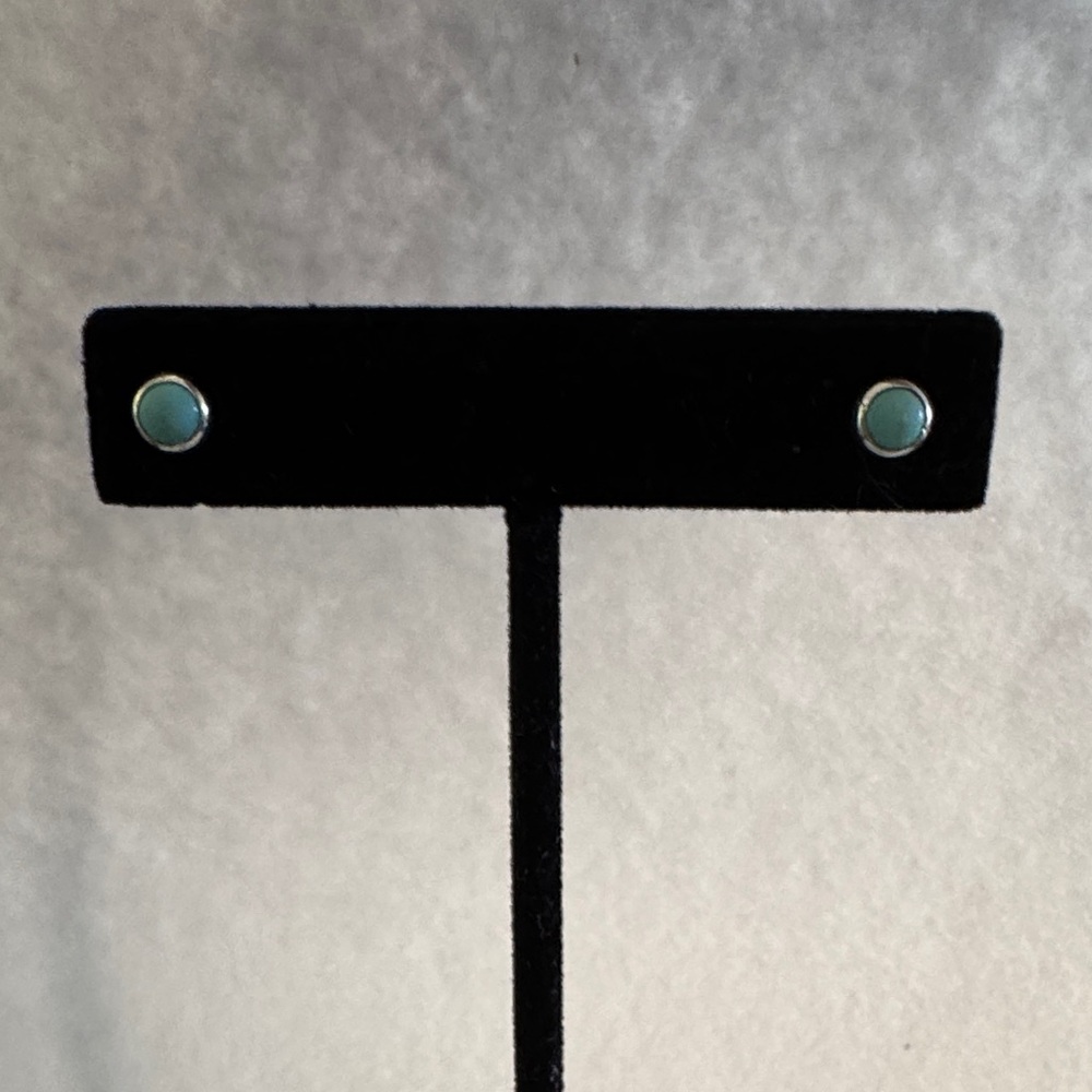 Elegant Turquoise color Stud Earrings